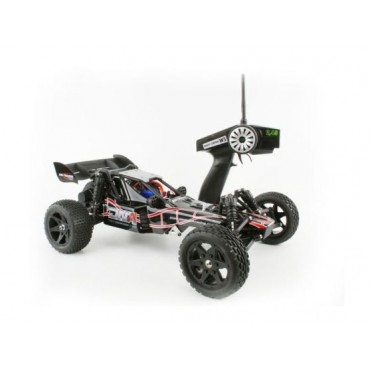 Buggy 2WD DNA RTR 2.4Ghz Off-Road 1:10